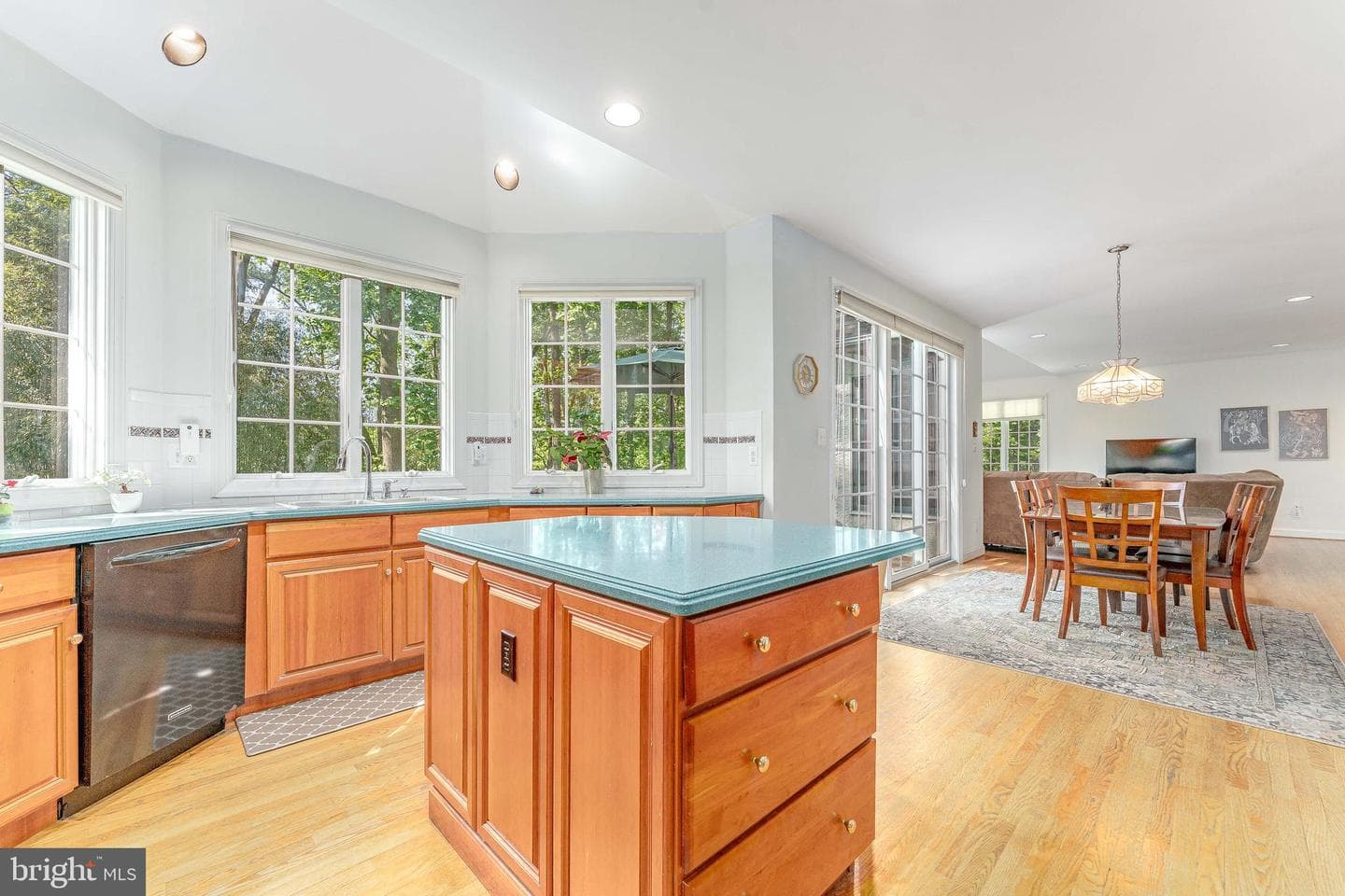 936 Kilduff Circle photo 18