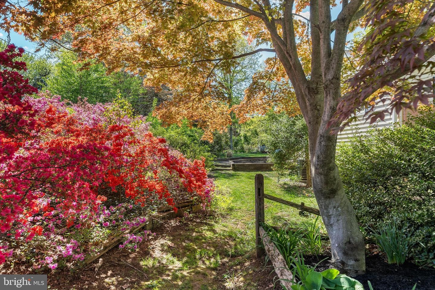 6 Diane Drive photo 31