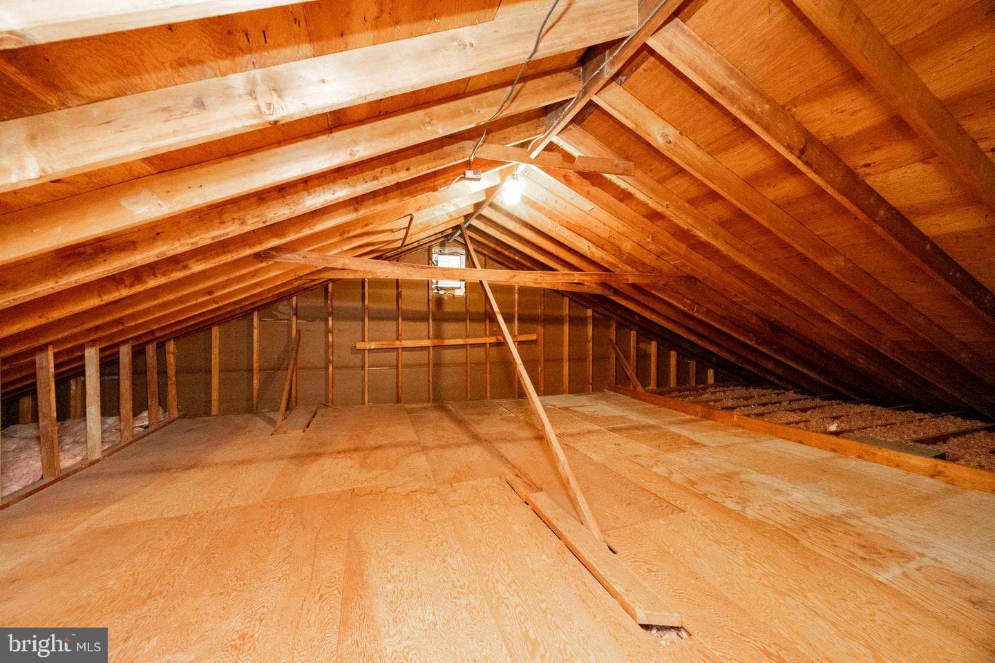 101 Biddle Drive photo 37