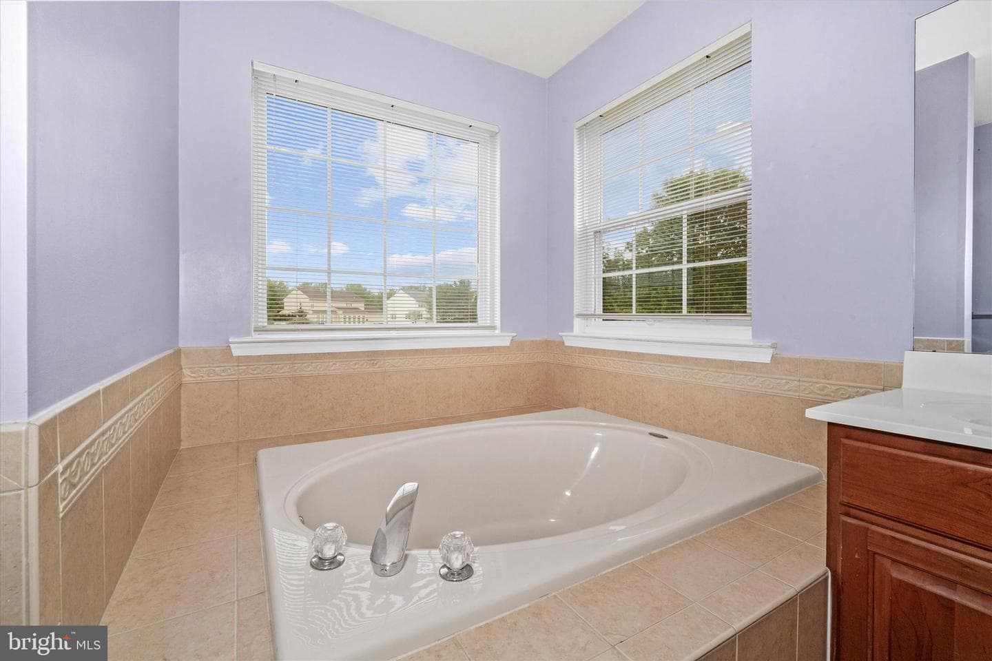 17 Allsmeer Drive photo 43