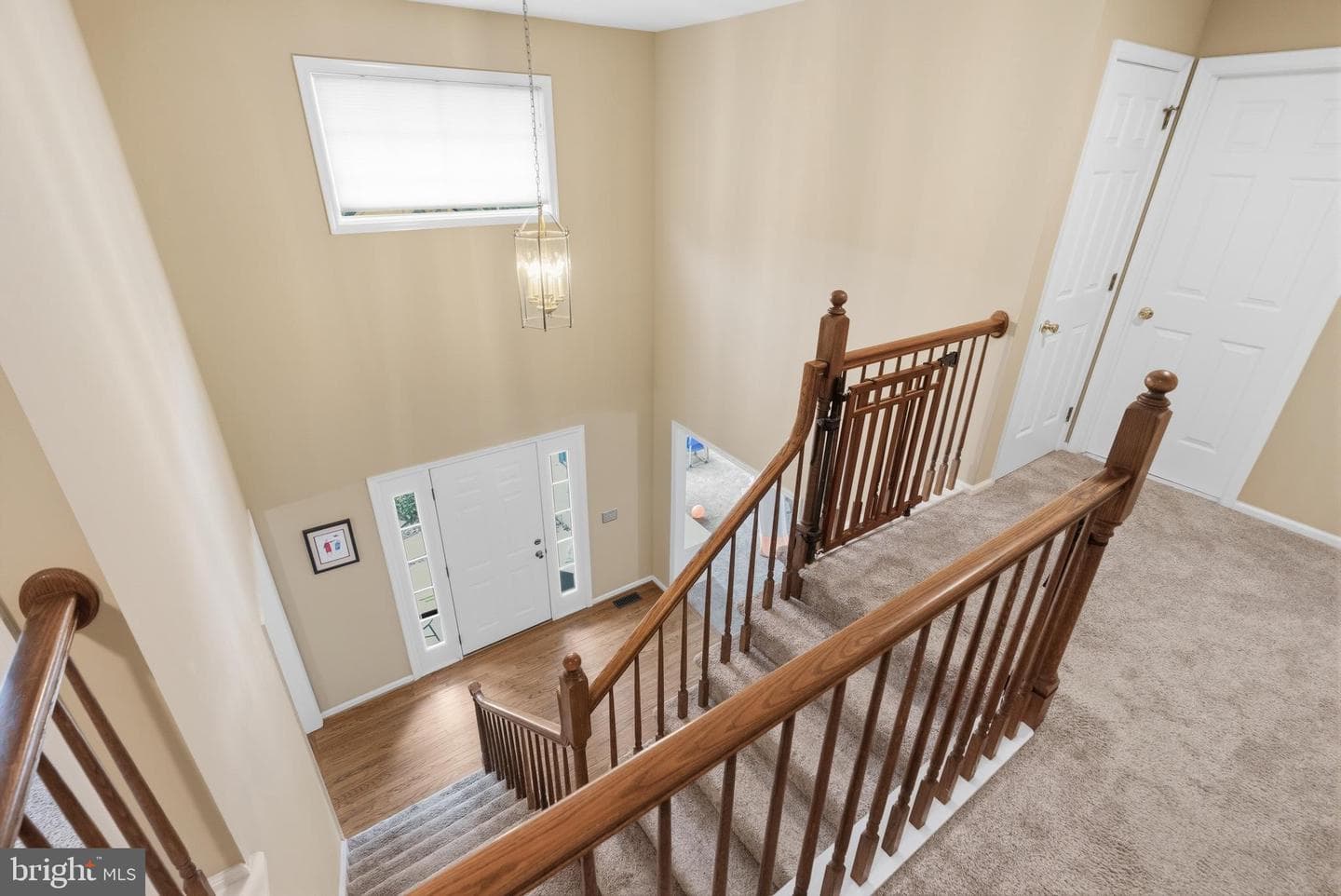 157 Hamilton Dr photo 20