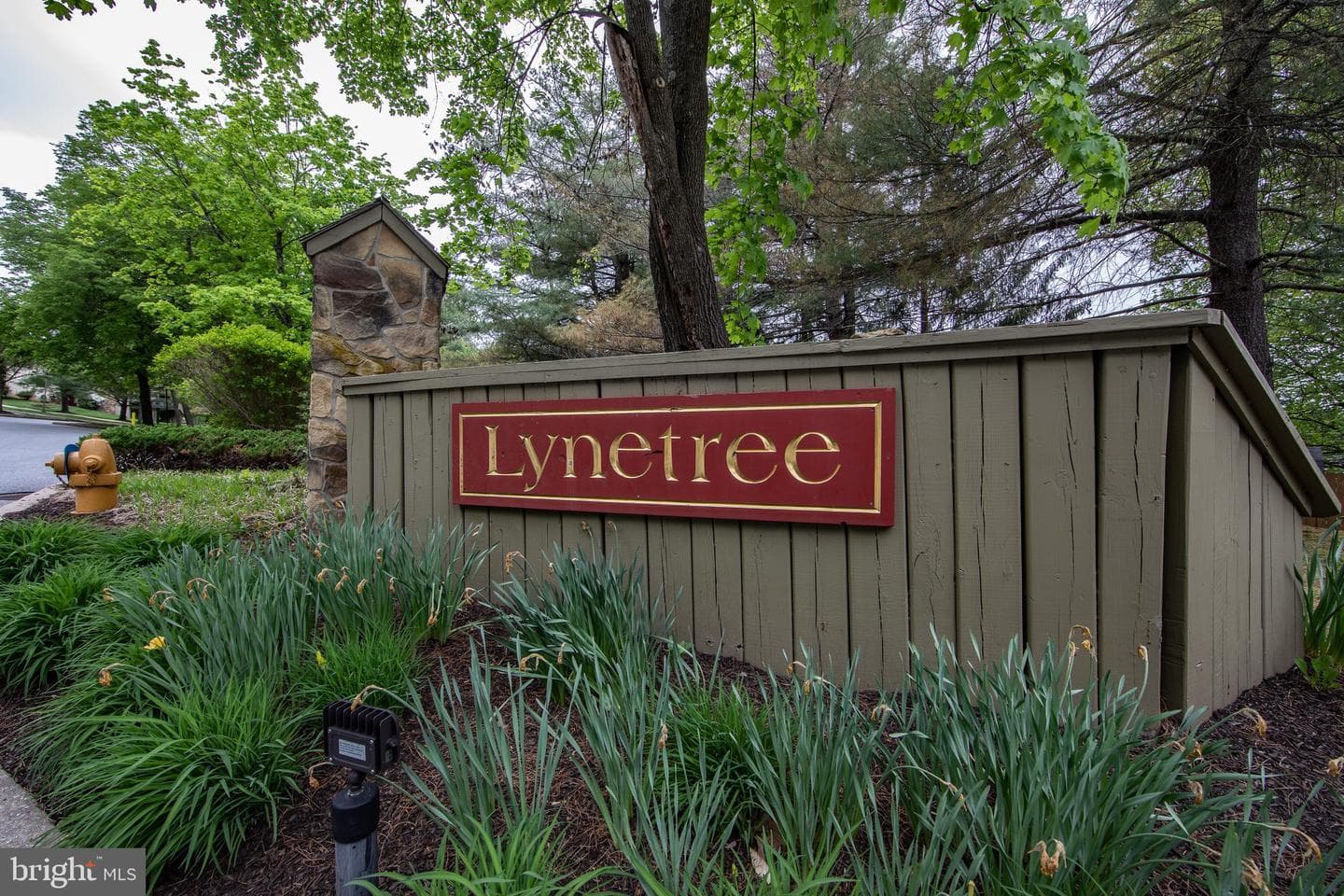 380 Lynetree Drive #7-D photo 35