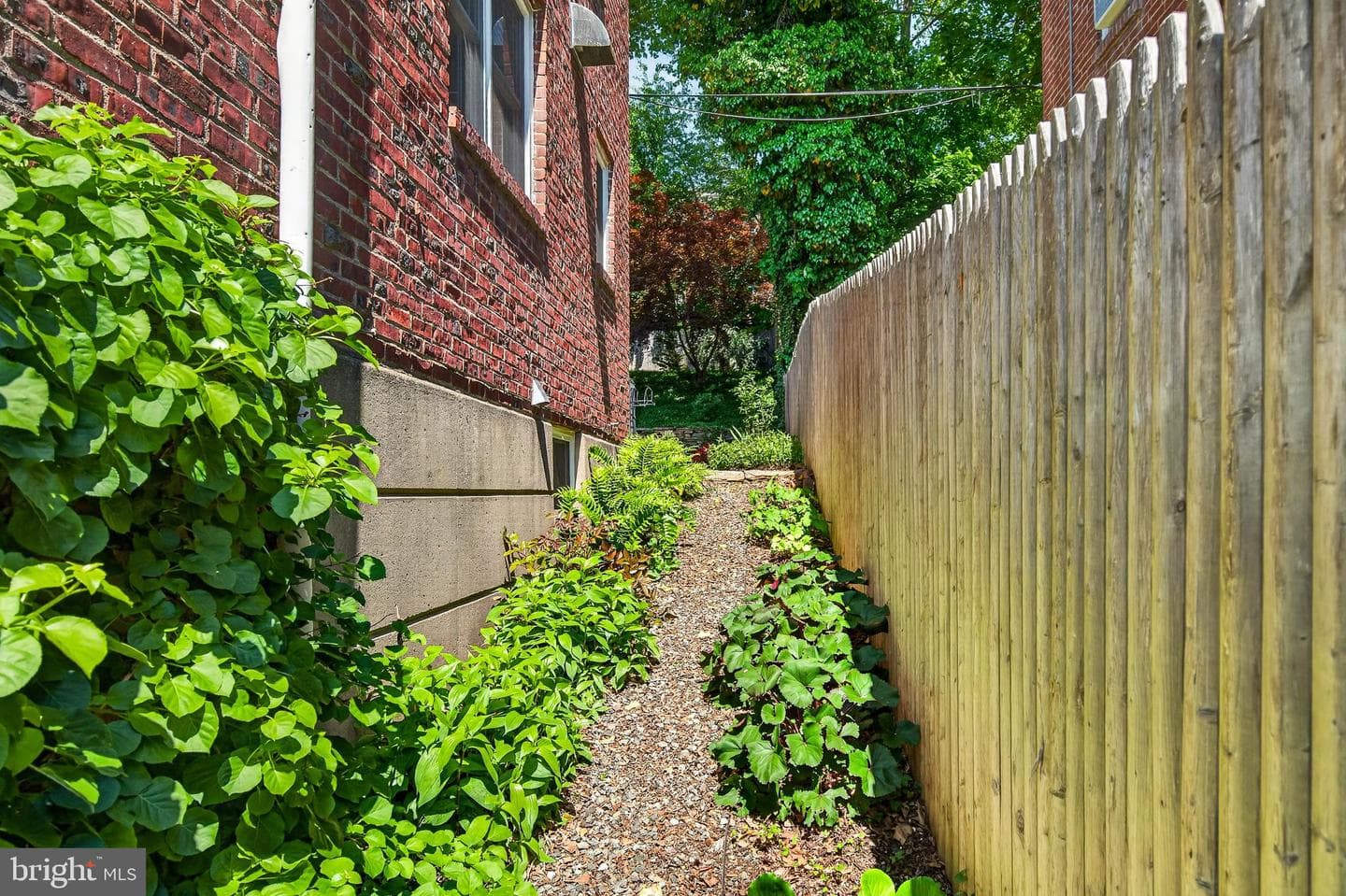 125 Price Street photo 49