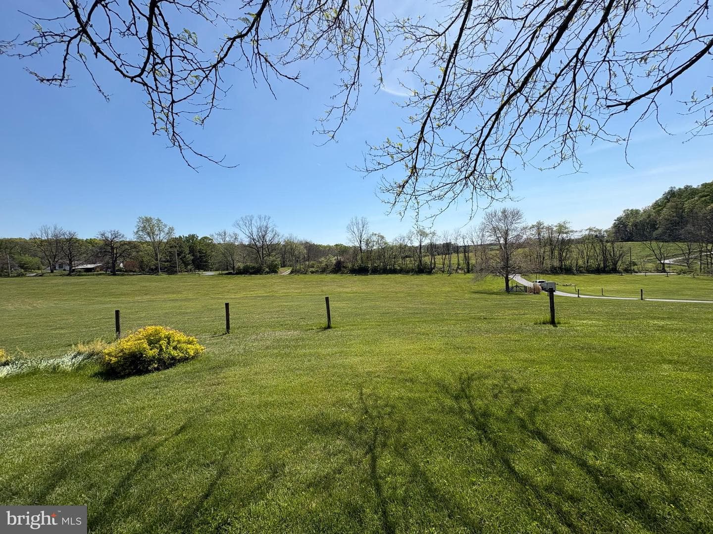 241 Glenrose Road photo 3