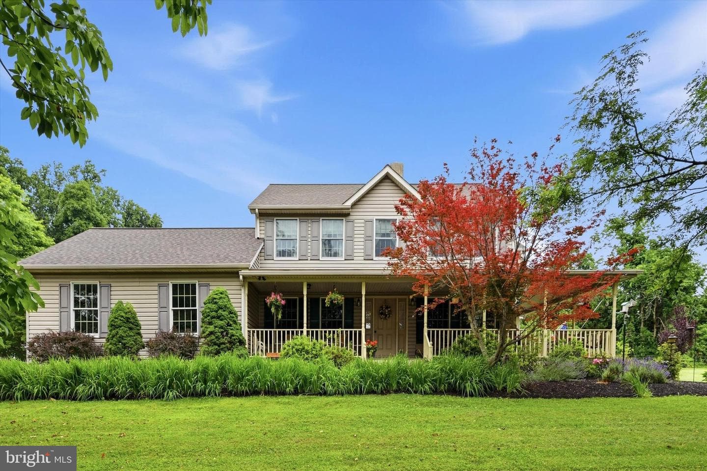 241 Glenrose Road photo 6