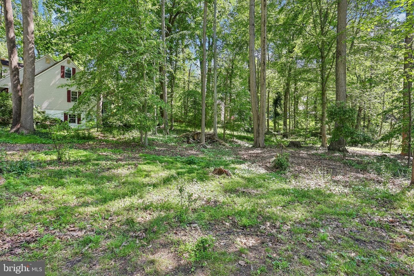 829 Nathan Hale Drive photo 58