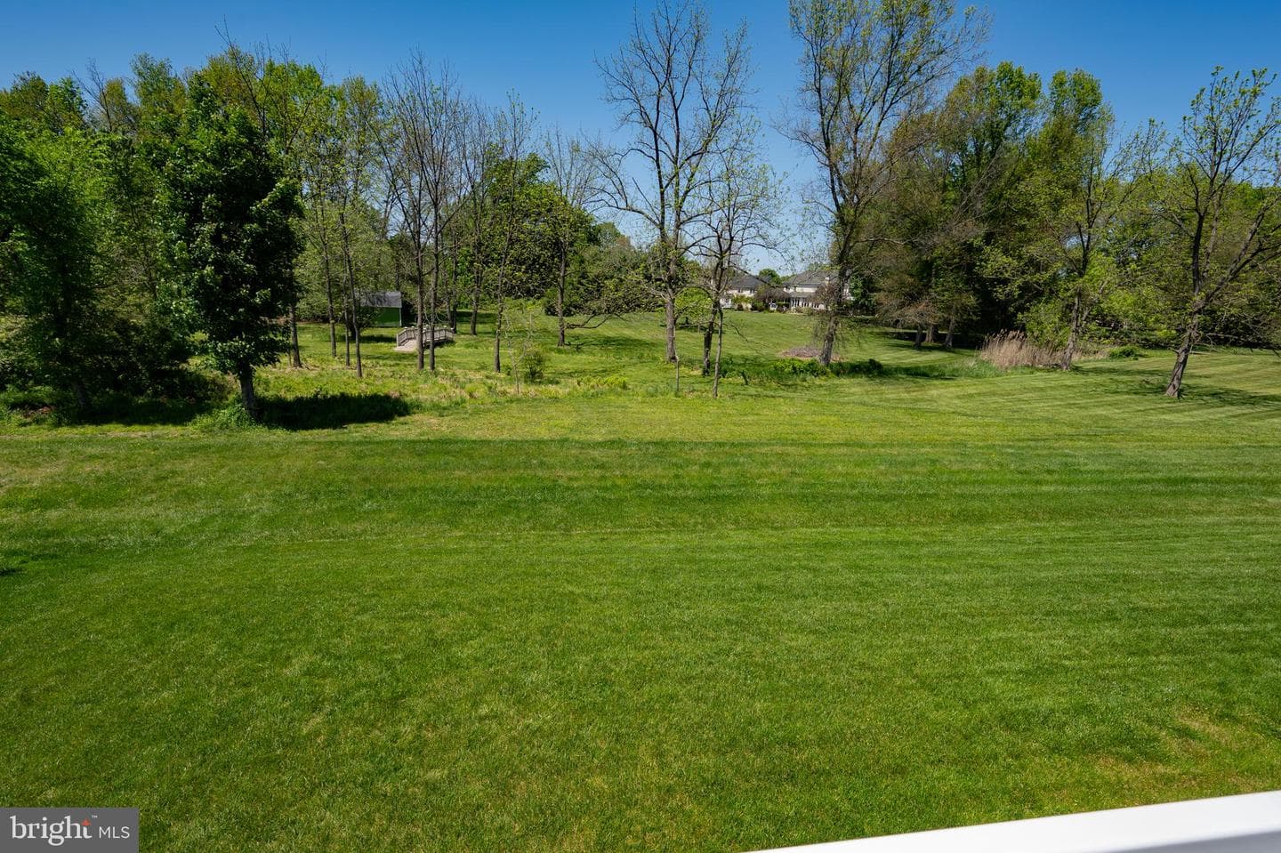 236 Lily Lane photo 11