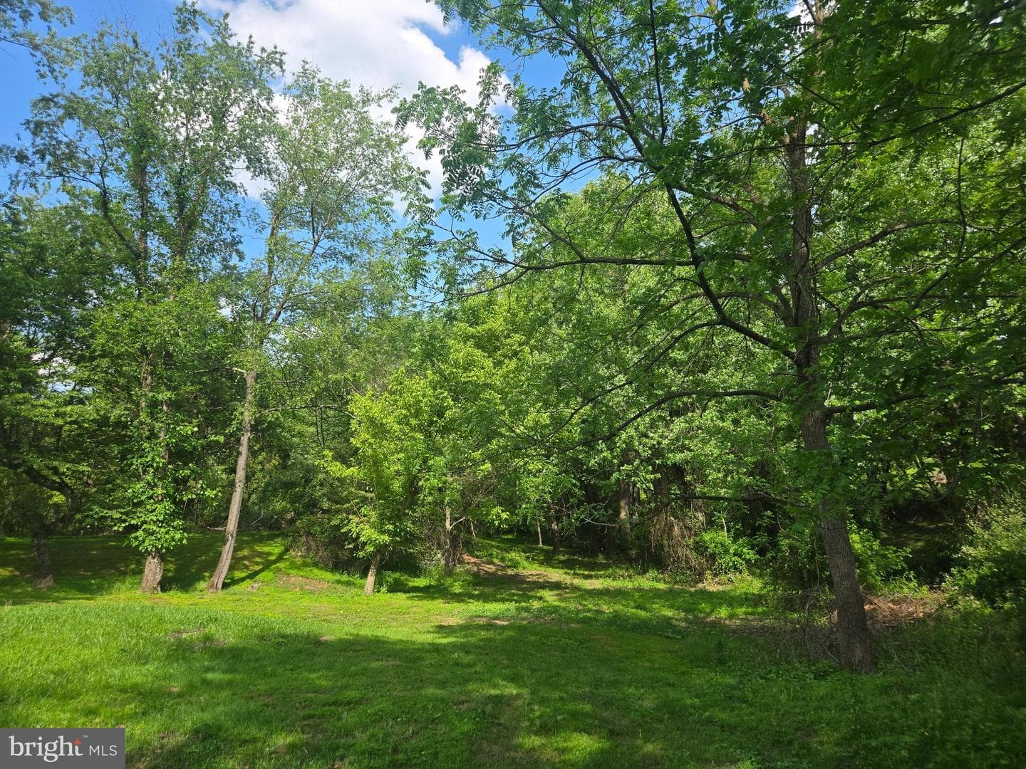 11 Prince Edwards Drive photo 5