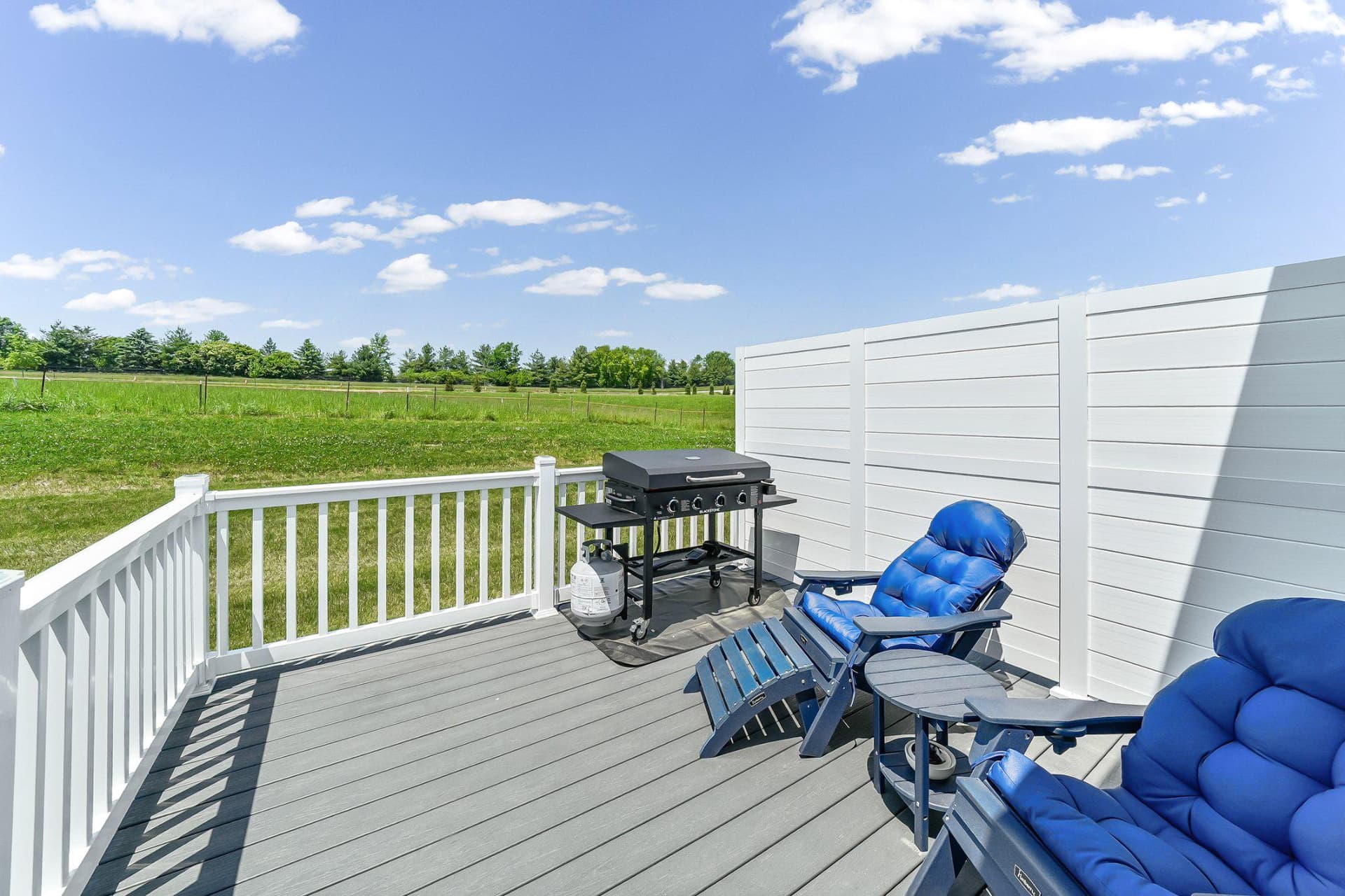 1623 Hydrangea Way photo 22