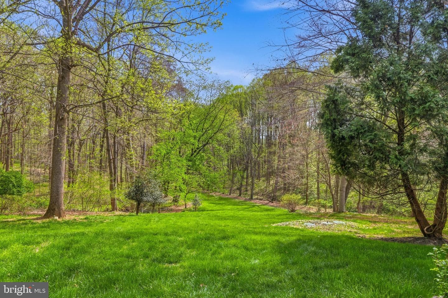310 Buttonwood Road photo 41