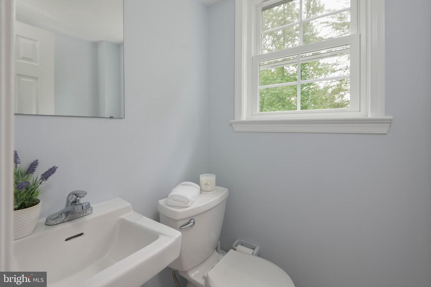215 Elton Circle photo 21