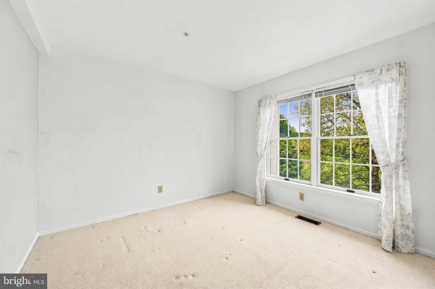 34 Buttonwood Drive #34 photo 19