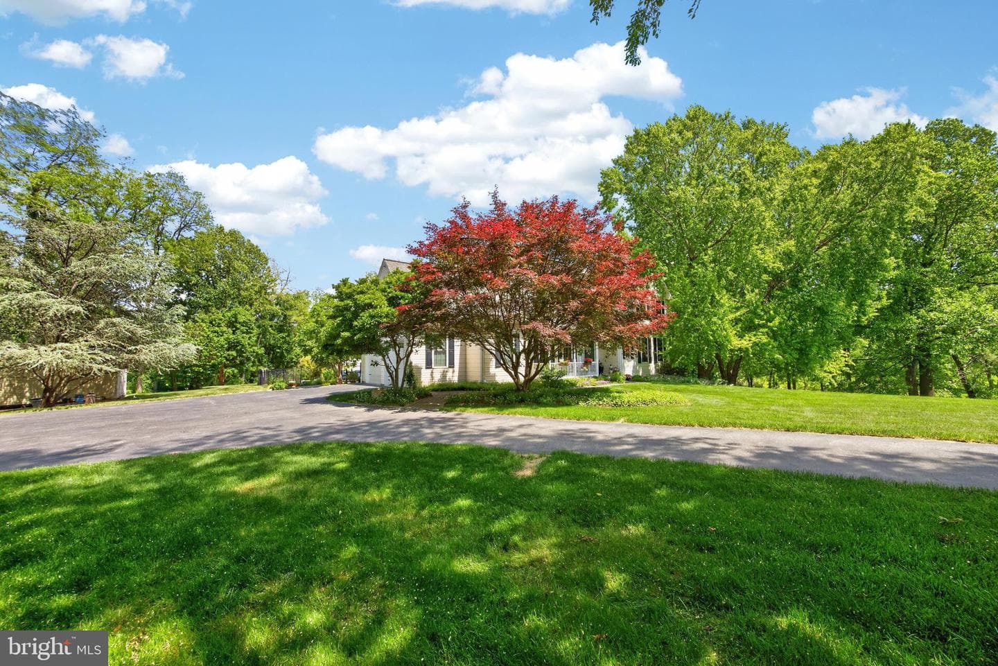 7 Jack Reynolds Way photo 49