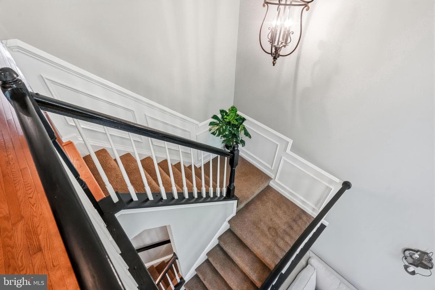 121 Forelock Court photo 18