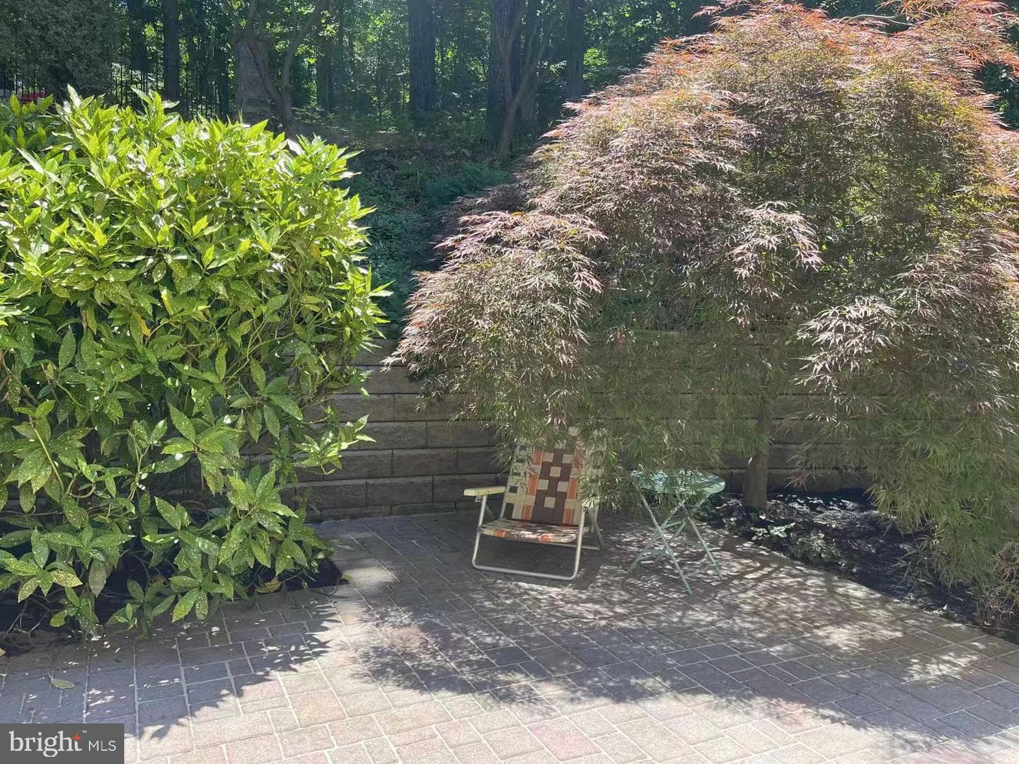 24 White Woods Lane photo 37