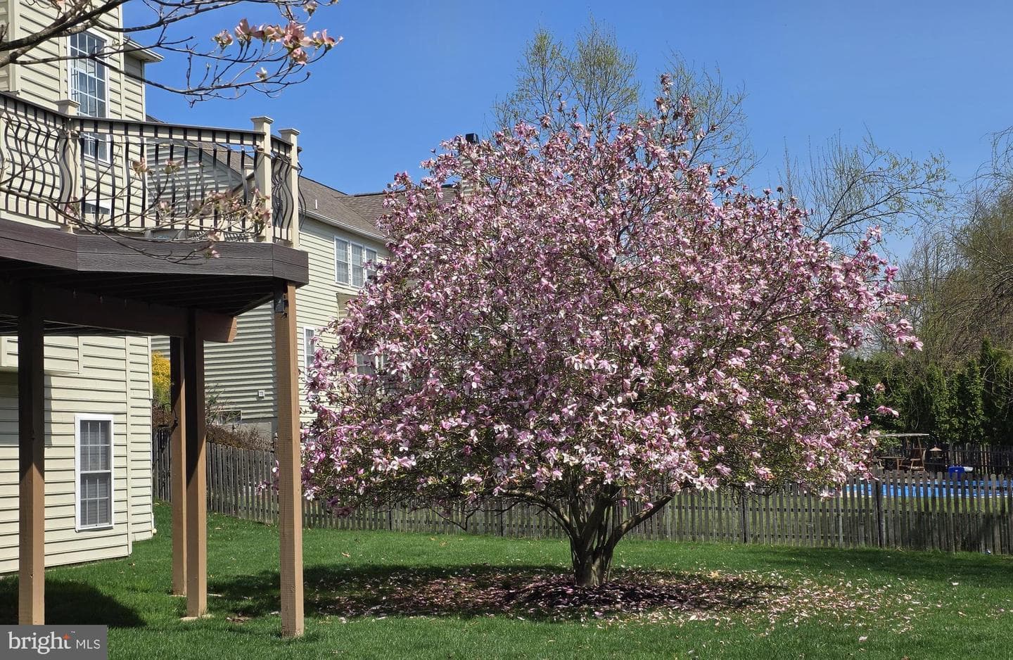 148 Magnolia Drive photo 10