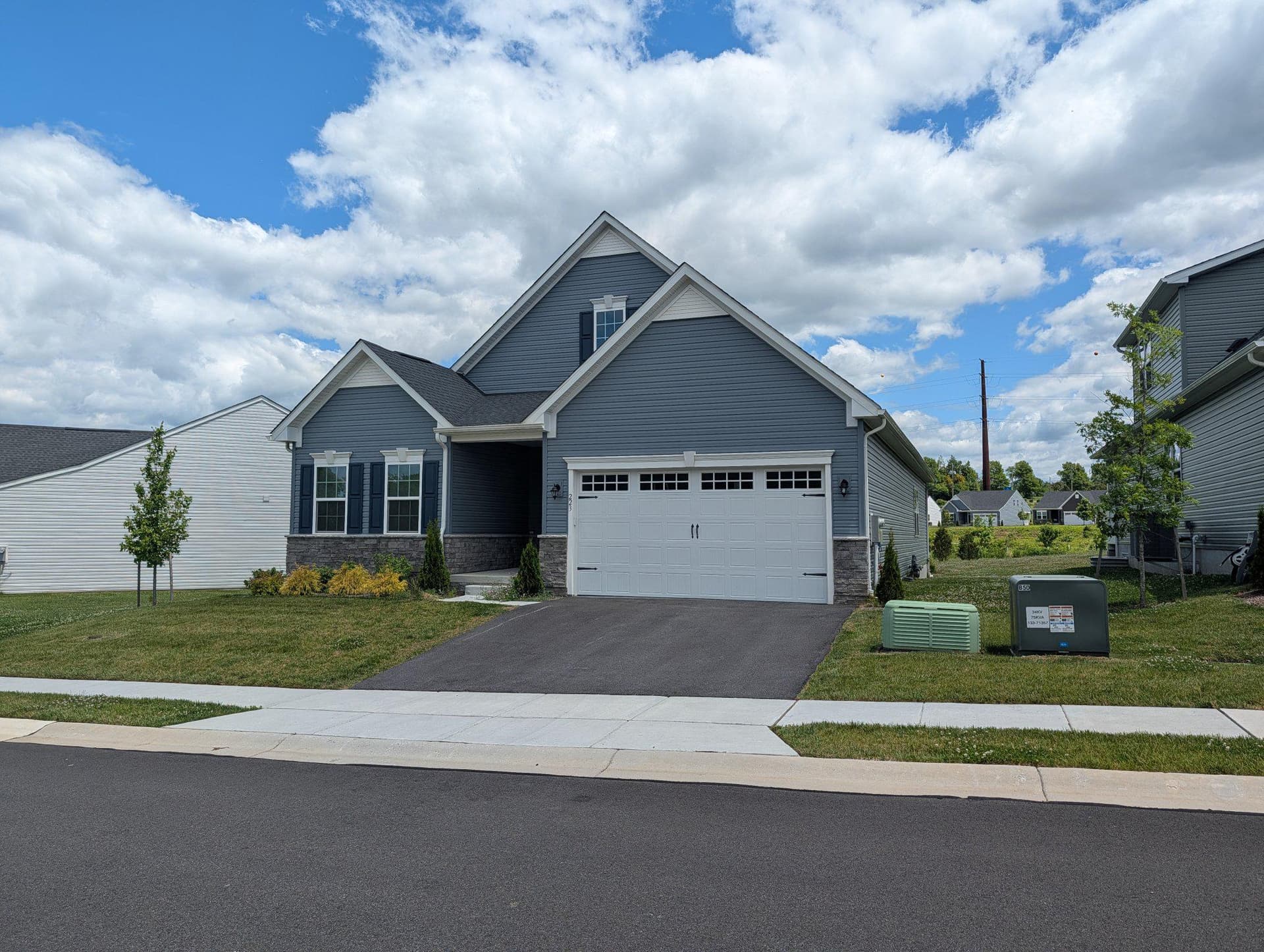 223 Letitia Manor Drive photo 6
