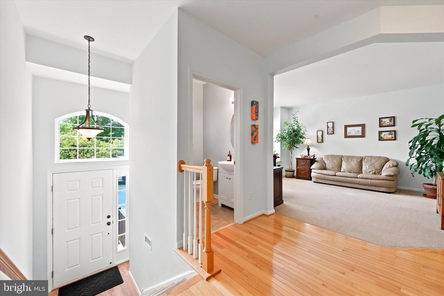 244 Cherry Lane #19 photo 3