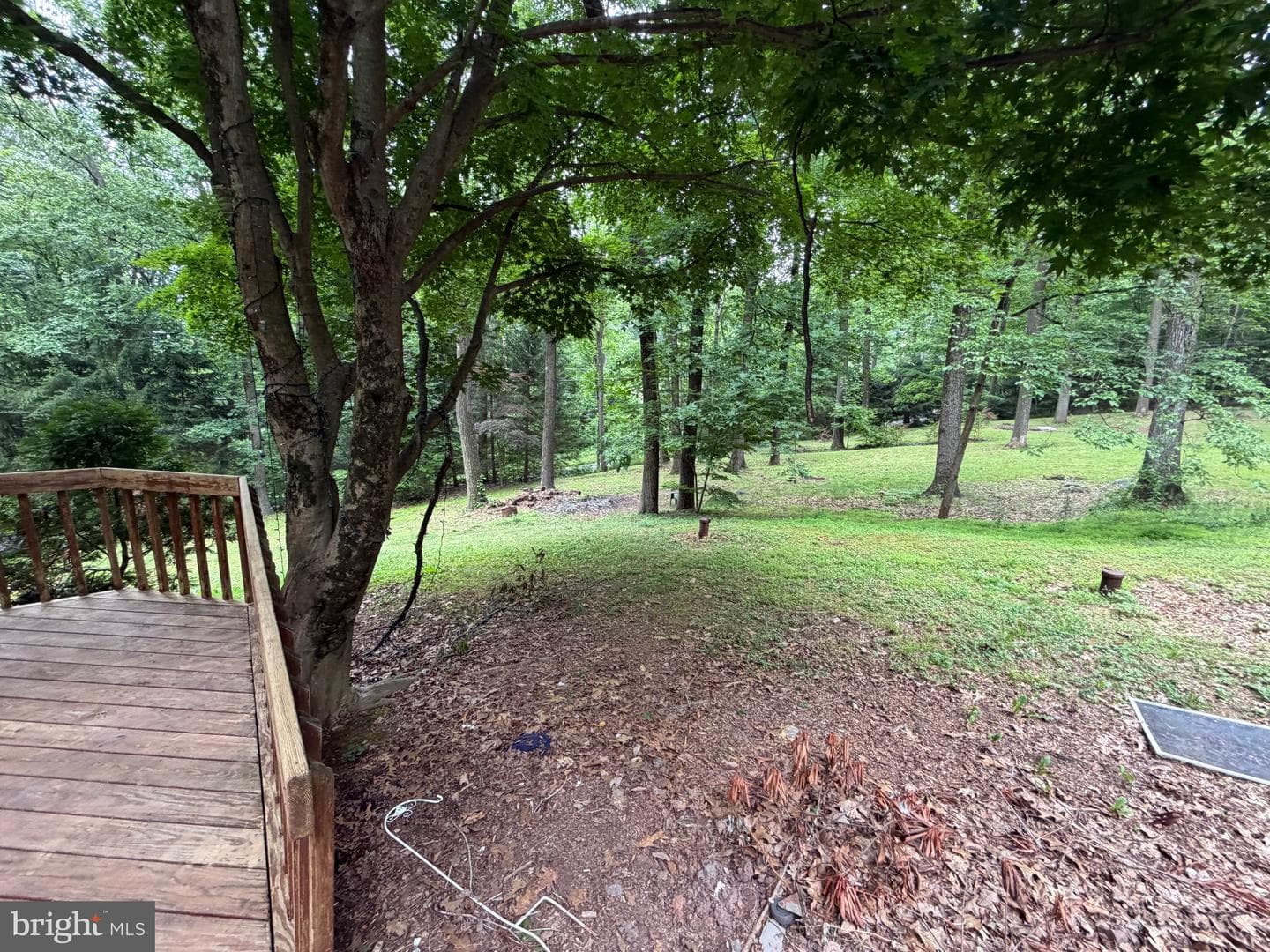 2253 Jones Road photo 4