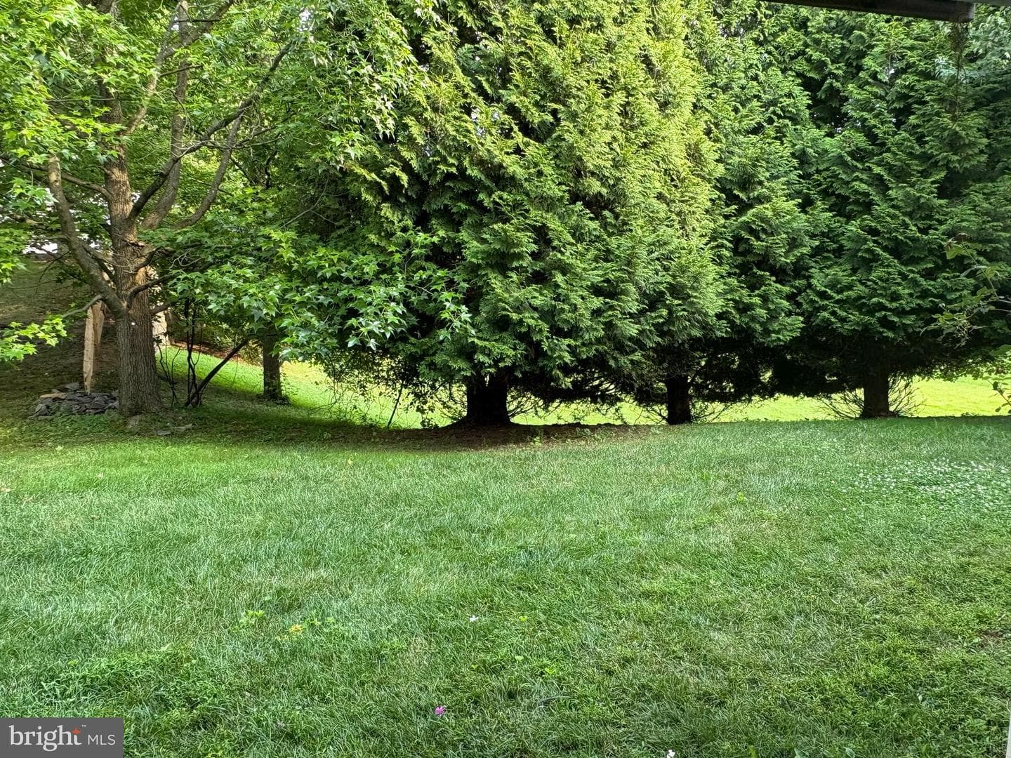 115 Stirrup Circle photo 25