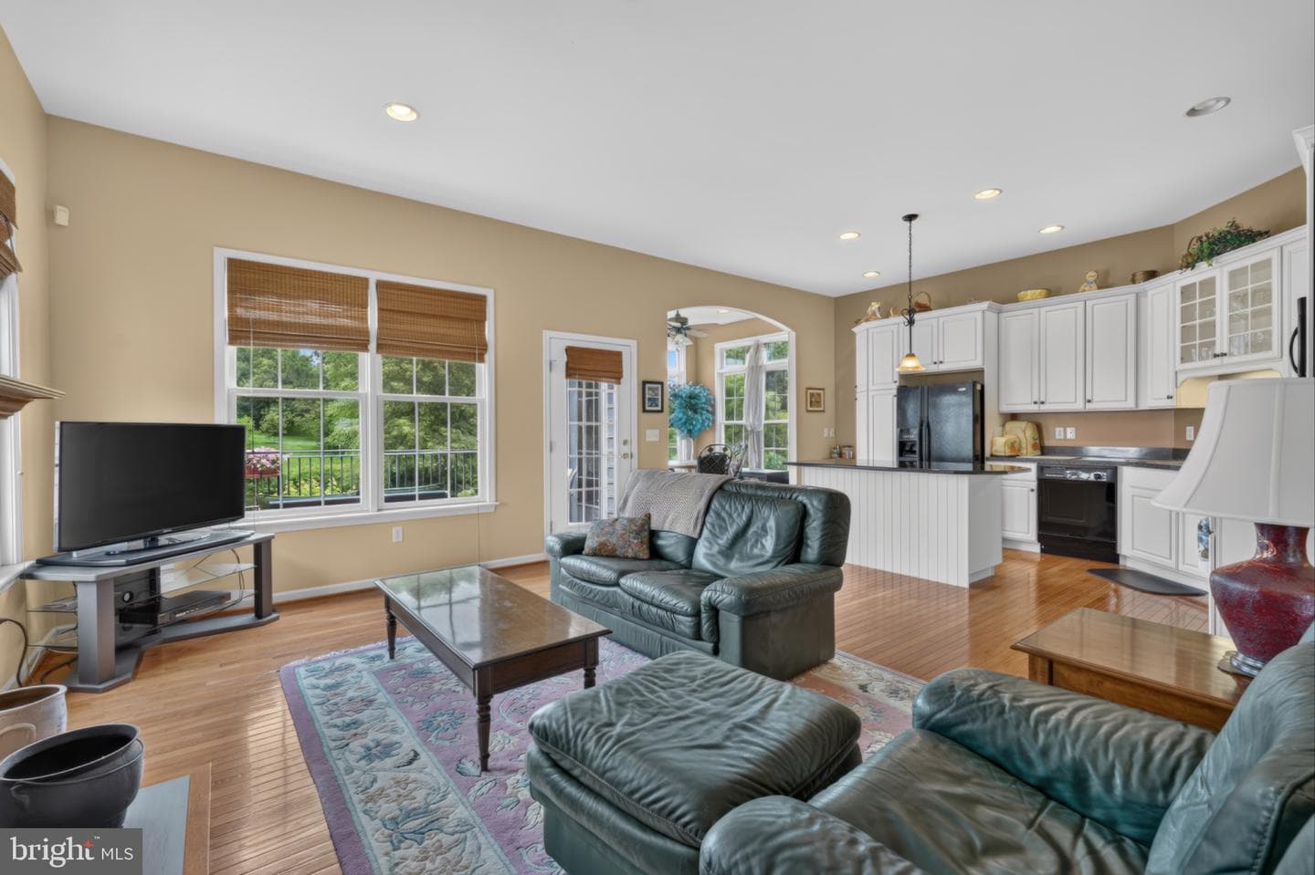 315 Carlisle Drive photo 5