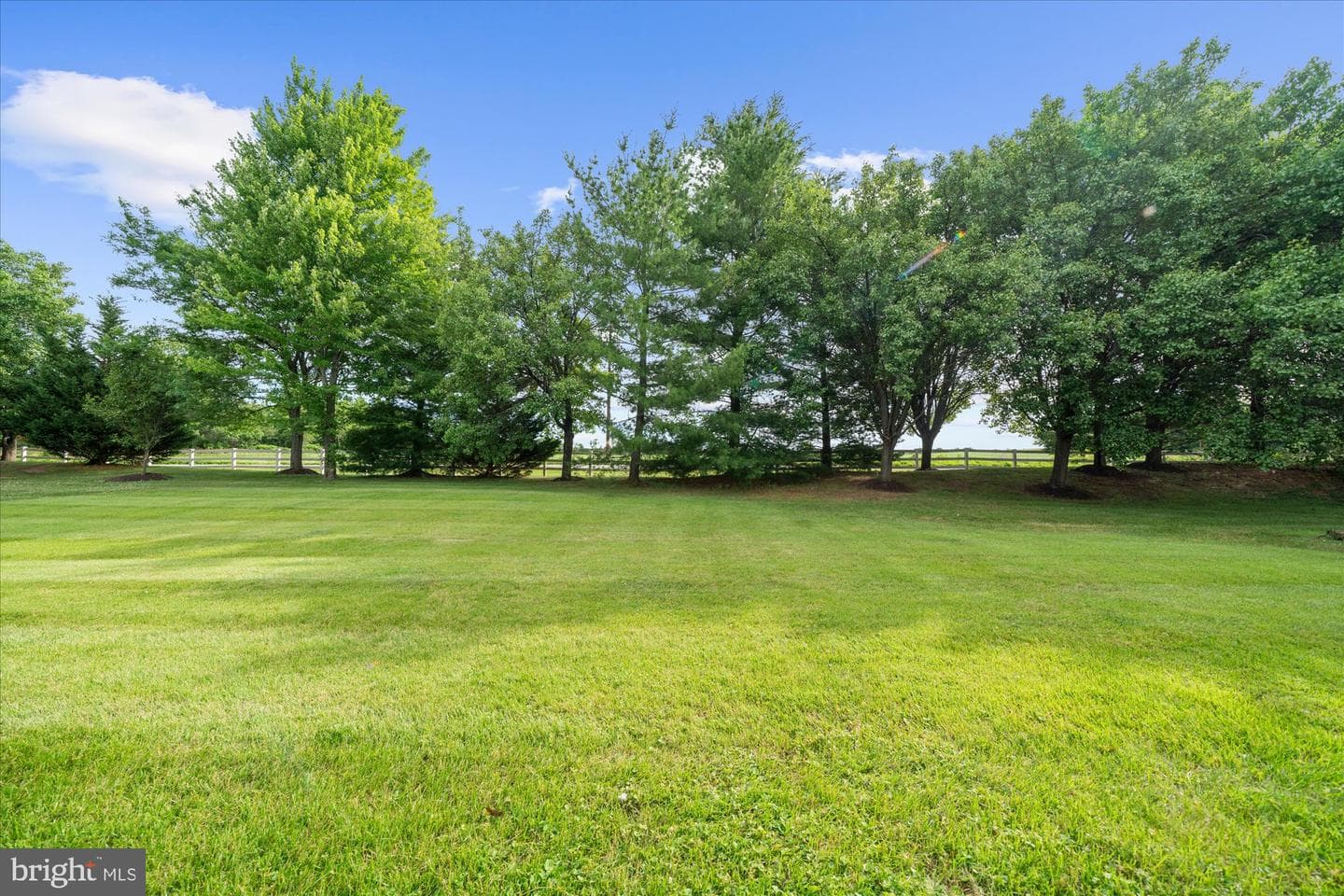 112 Percheron Drive photo 47