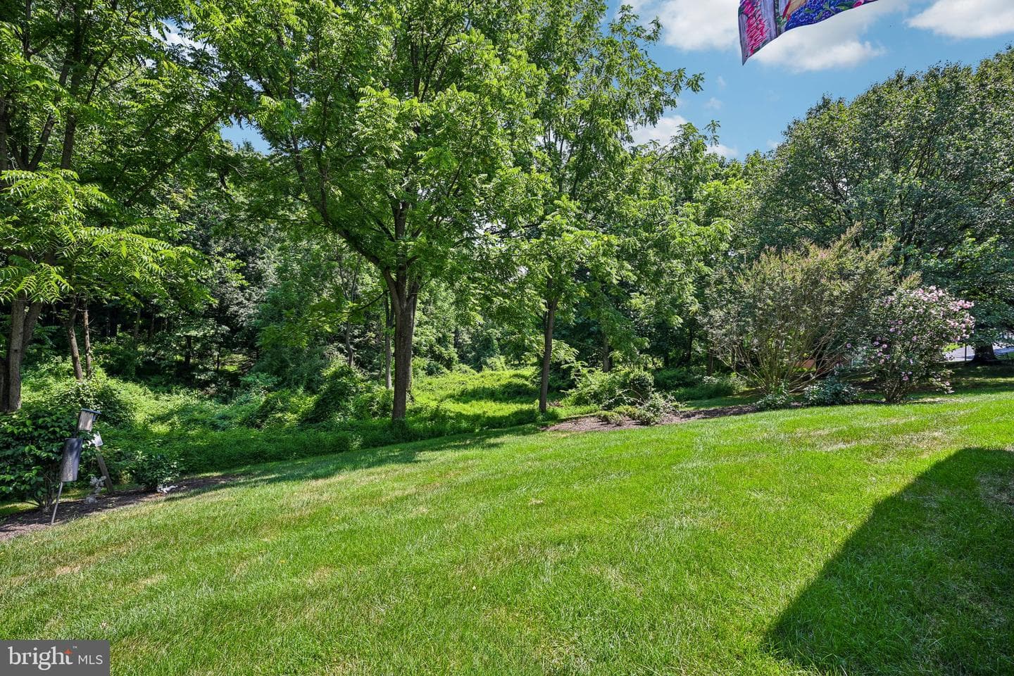 117 Cambridge Road photo 46