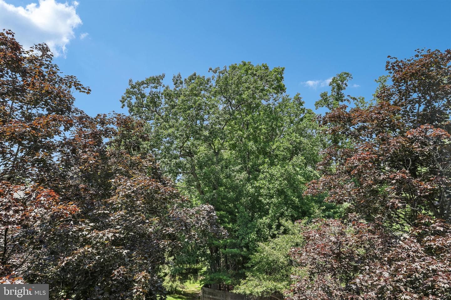 103 Brighton Circle photo 48