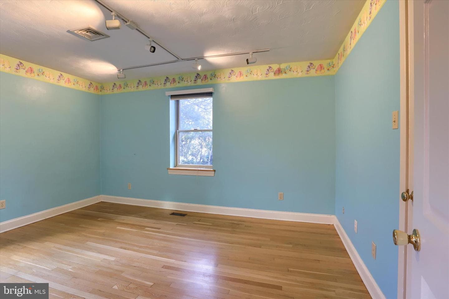 211 Frederick Street photo 24