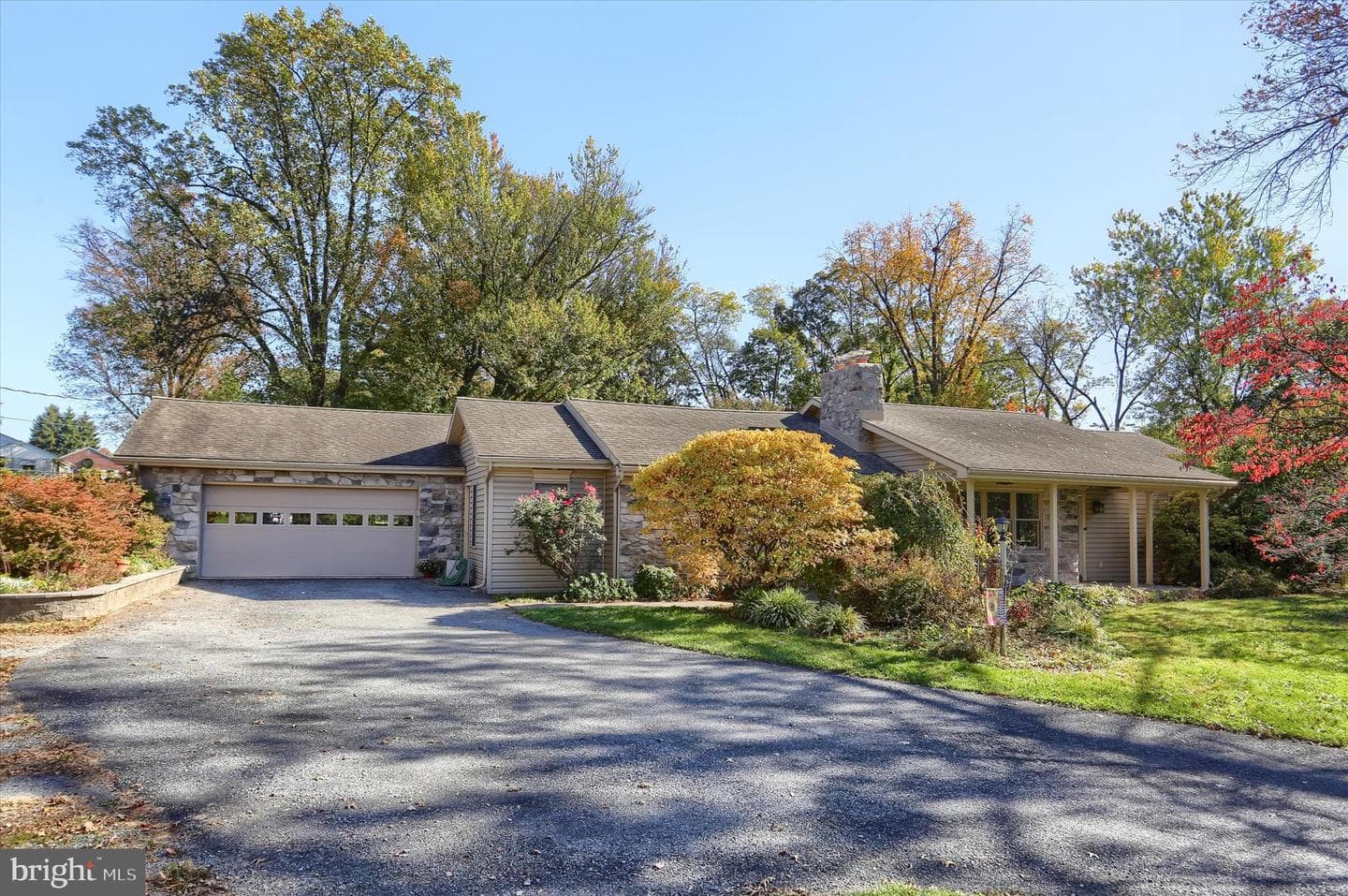 211 Frederick Street photo 3