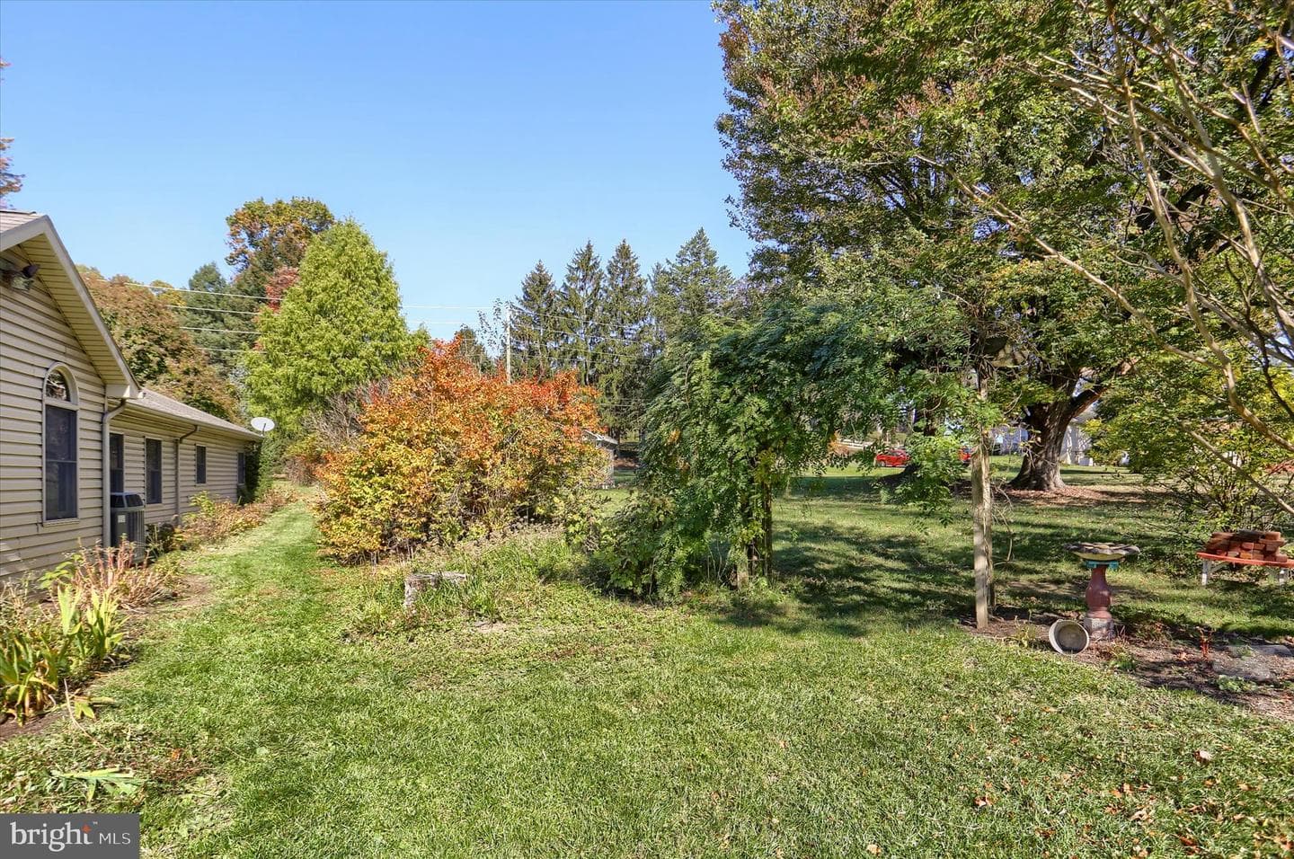 211 Frederick Street photo 46