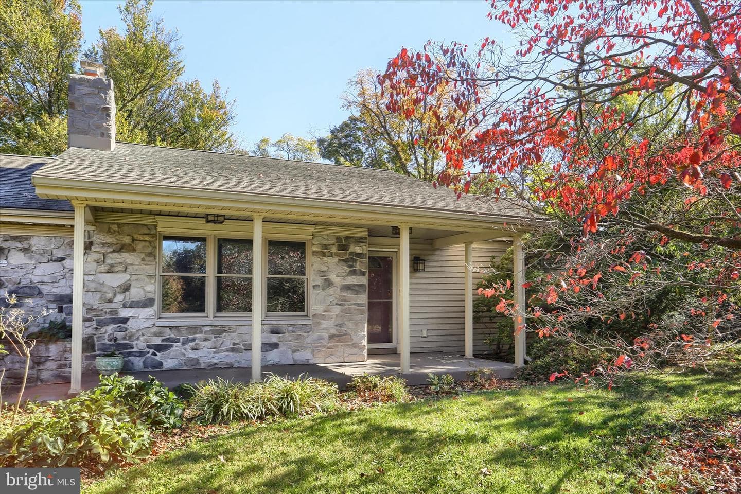 211 Frederick Street photo 6