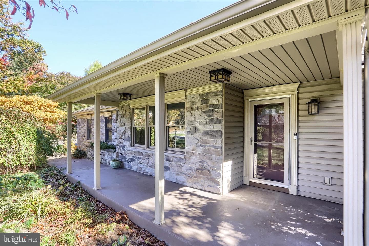 211 Frederick Street photo 7