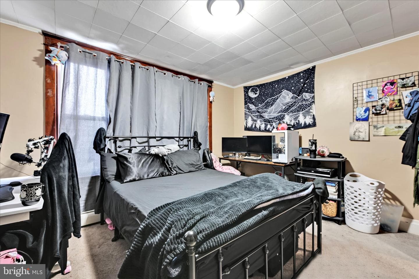 544 Spruce Street photo 26