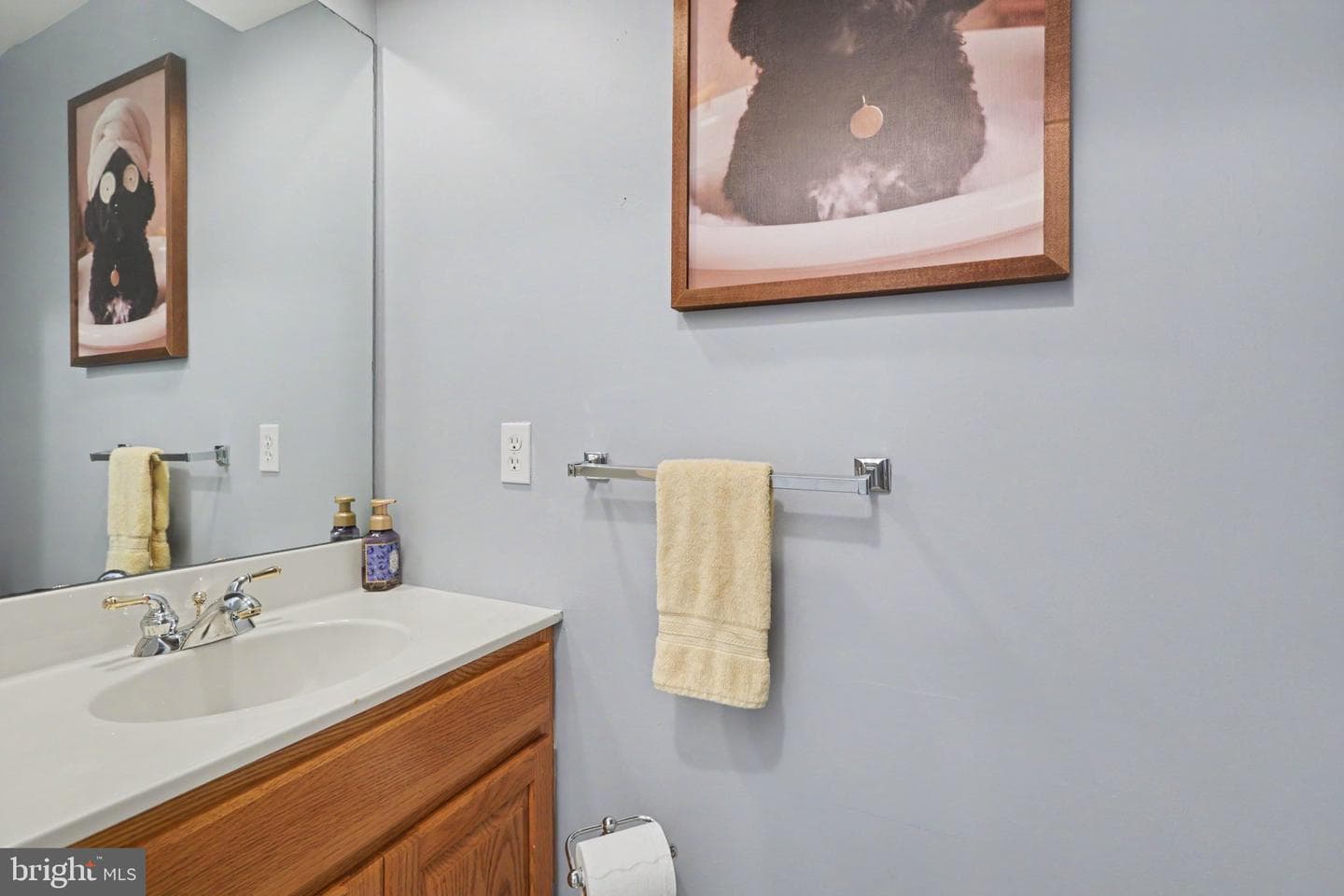 143 Jacobs Creek Drive photo 26