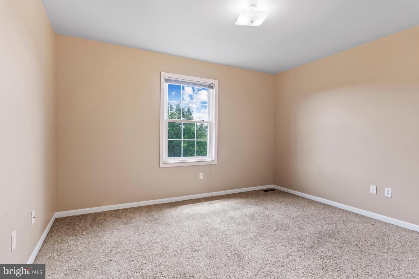 2015 Alexis Drive photo 24