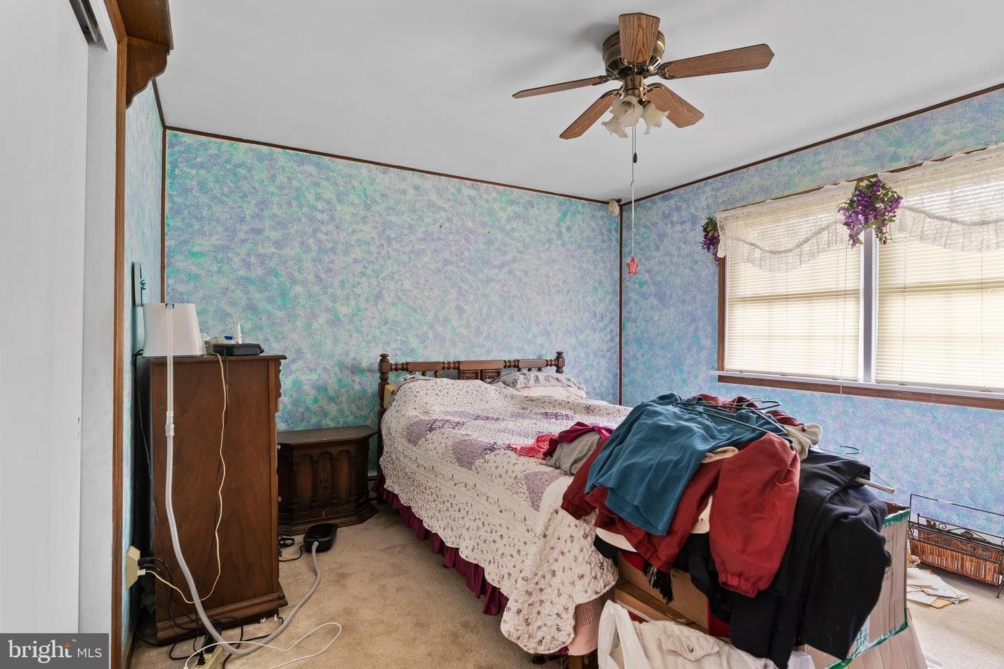 7955 Rider Lane photo 42