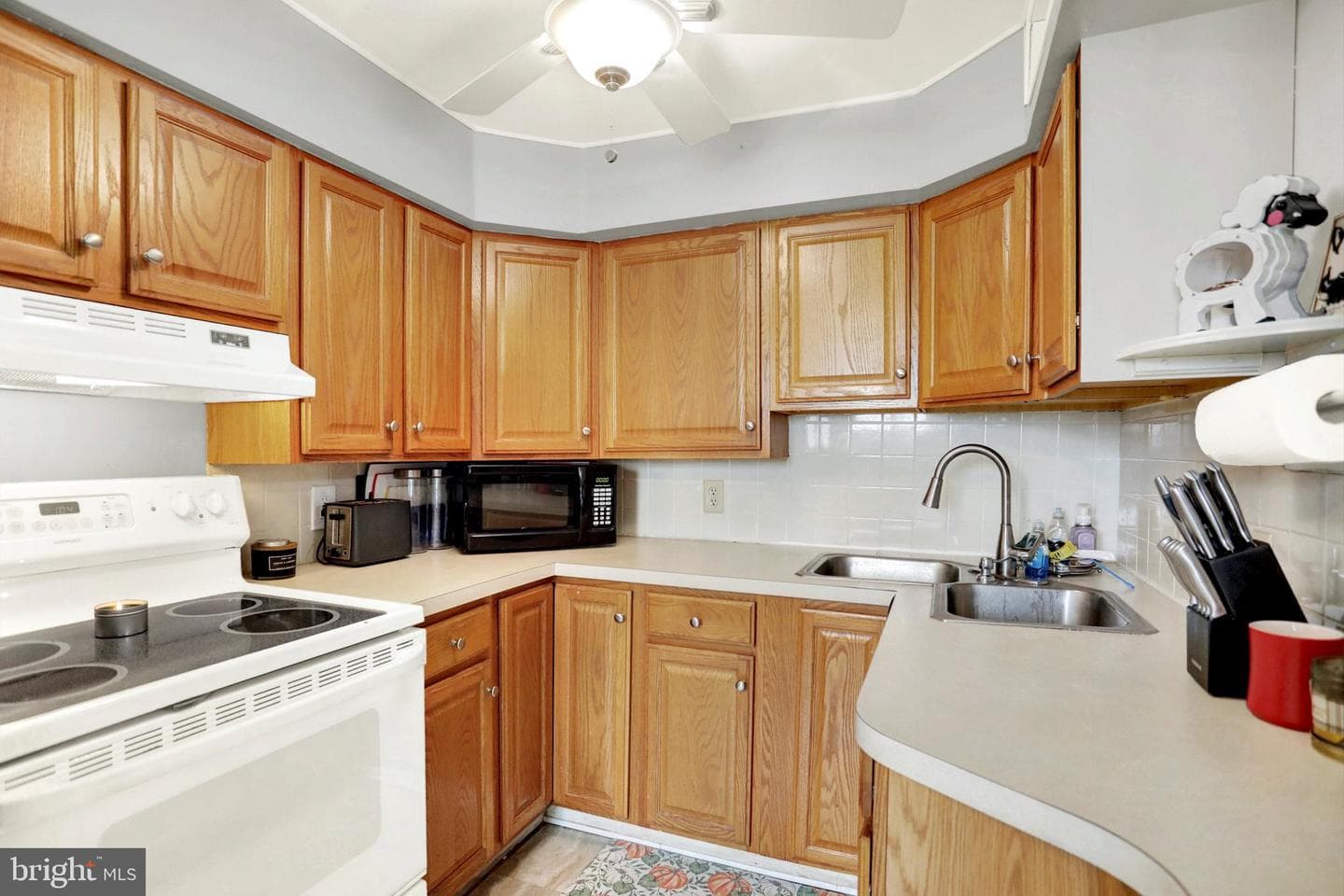 468 Elizabeth Street photo 12