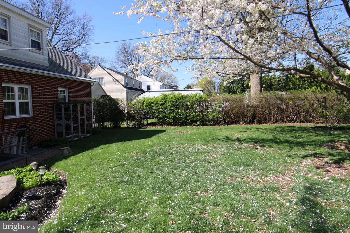 37 Wharton Avenue photo 5