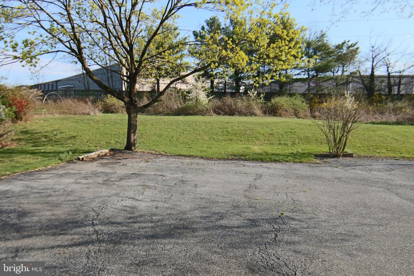 22 Carolyn Street photo 6