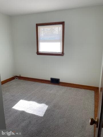 16 Theodore Avenue photo 7