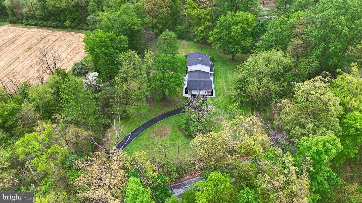 503 Whitman Lane photo 10