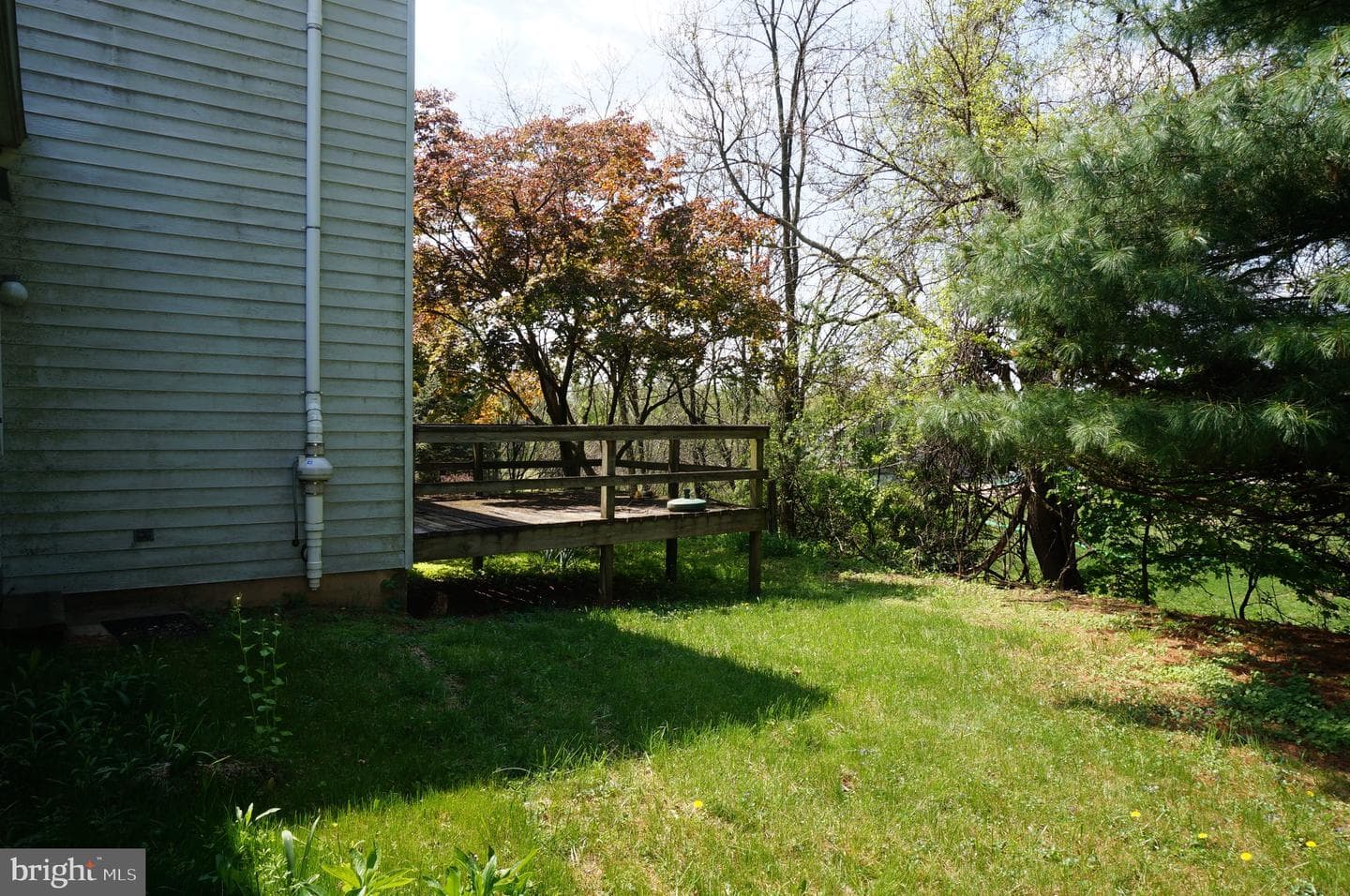 783 Blue Jay Road photo 50