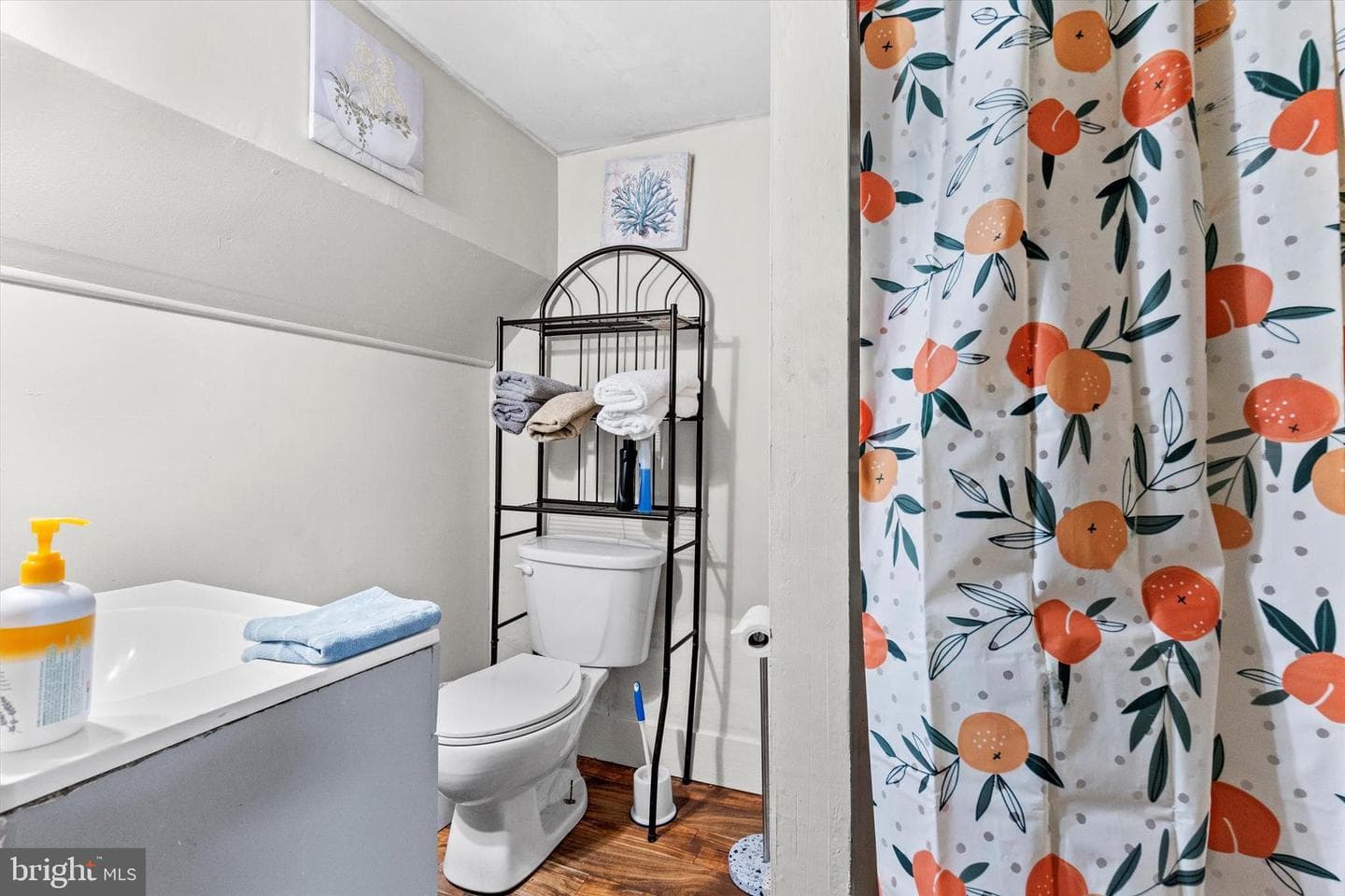241 Maclay Street photo 25