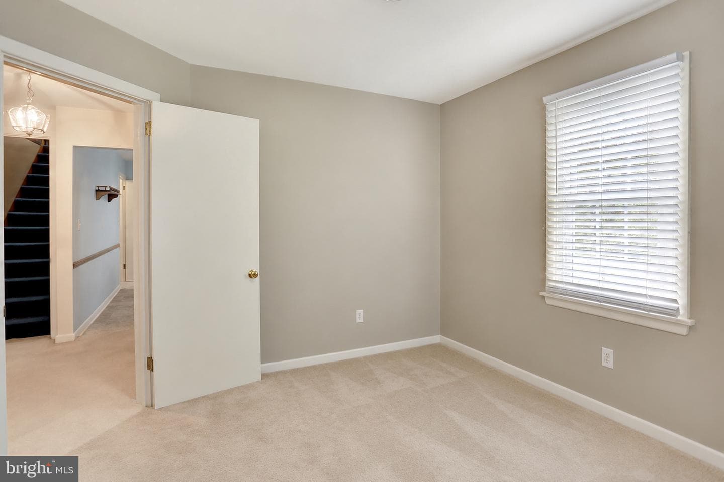 8164 Spruce Drive photo 22