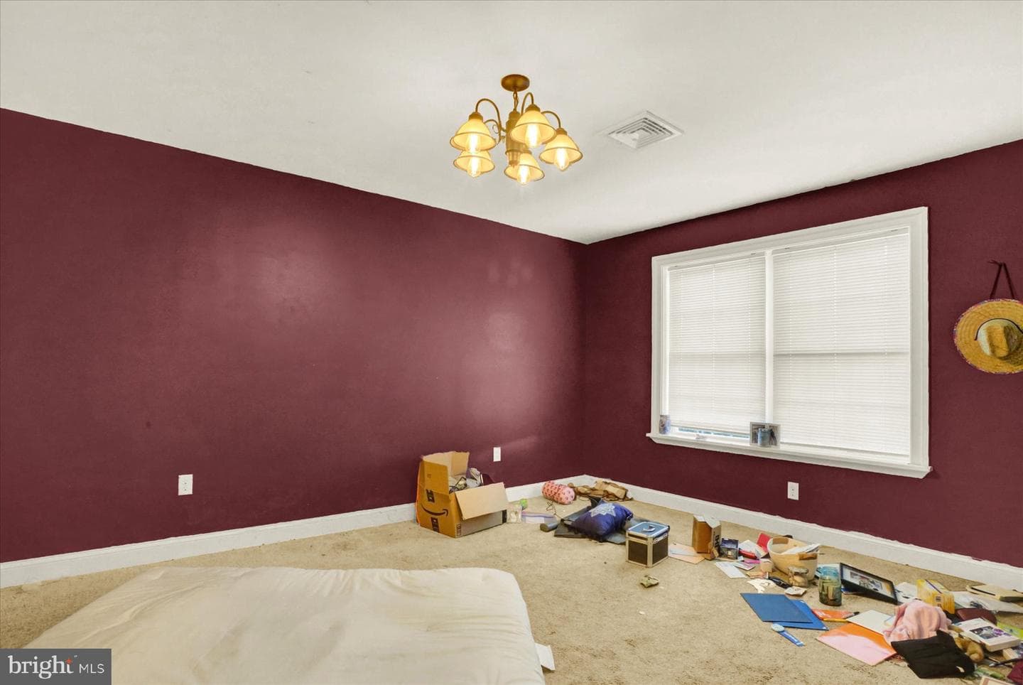 148 Edward Drive photo 29