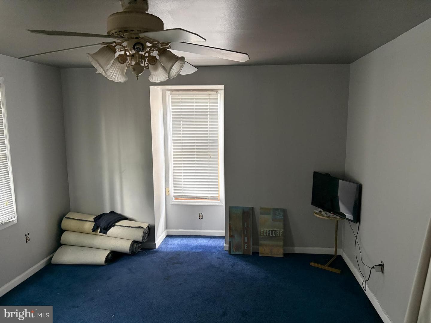 1715 Green Street photo 27