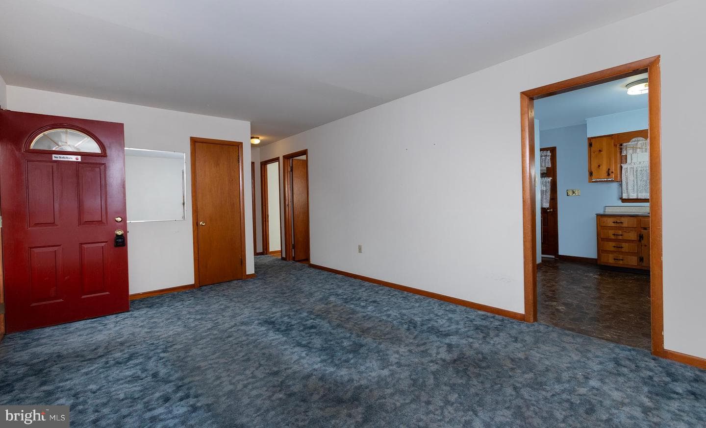 41 Shirley Drive photo 20