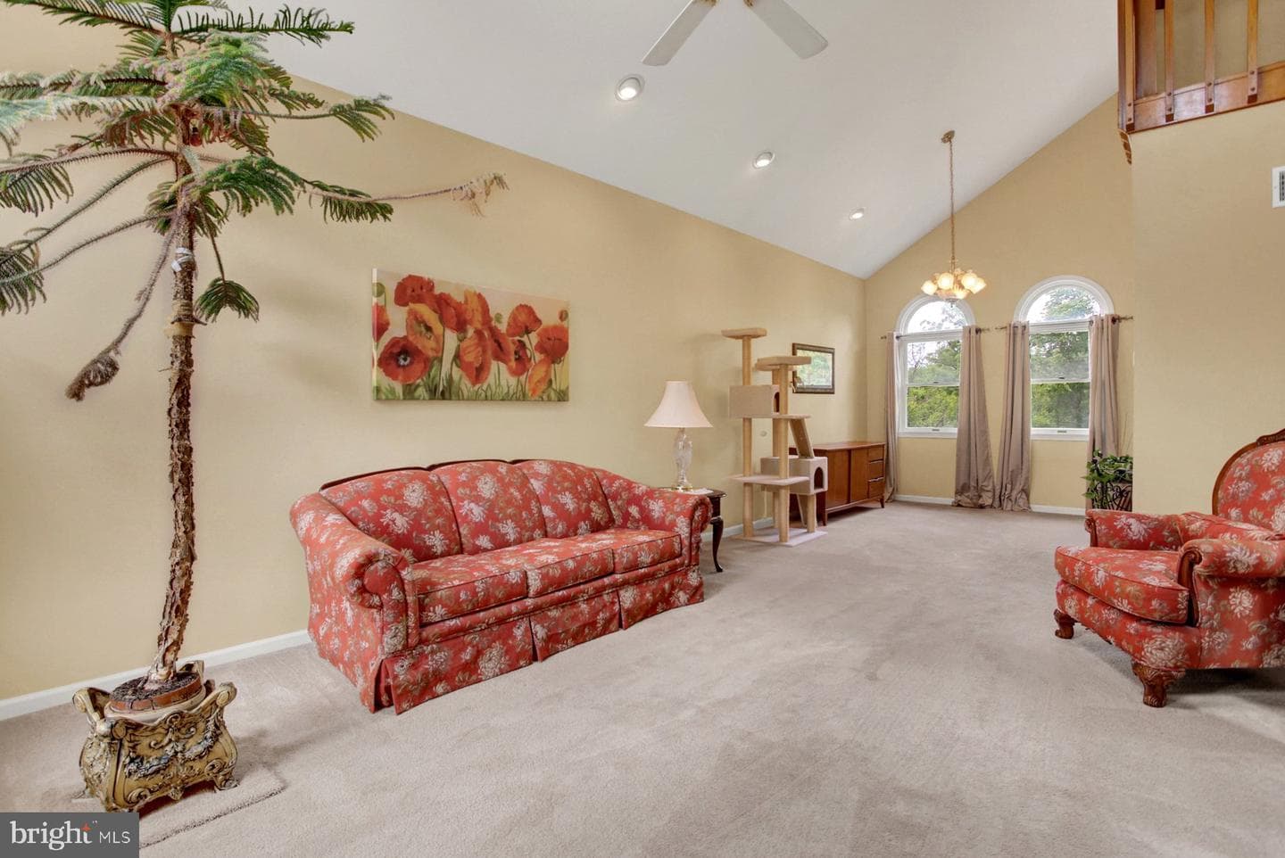 6504 Carmen Court photo 7