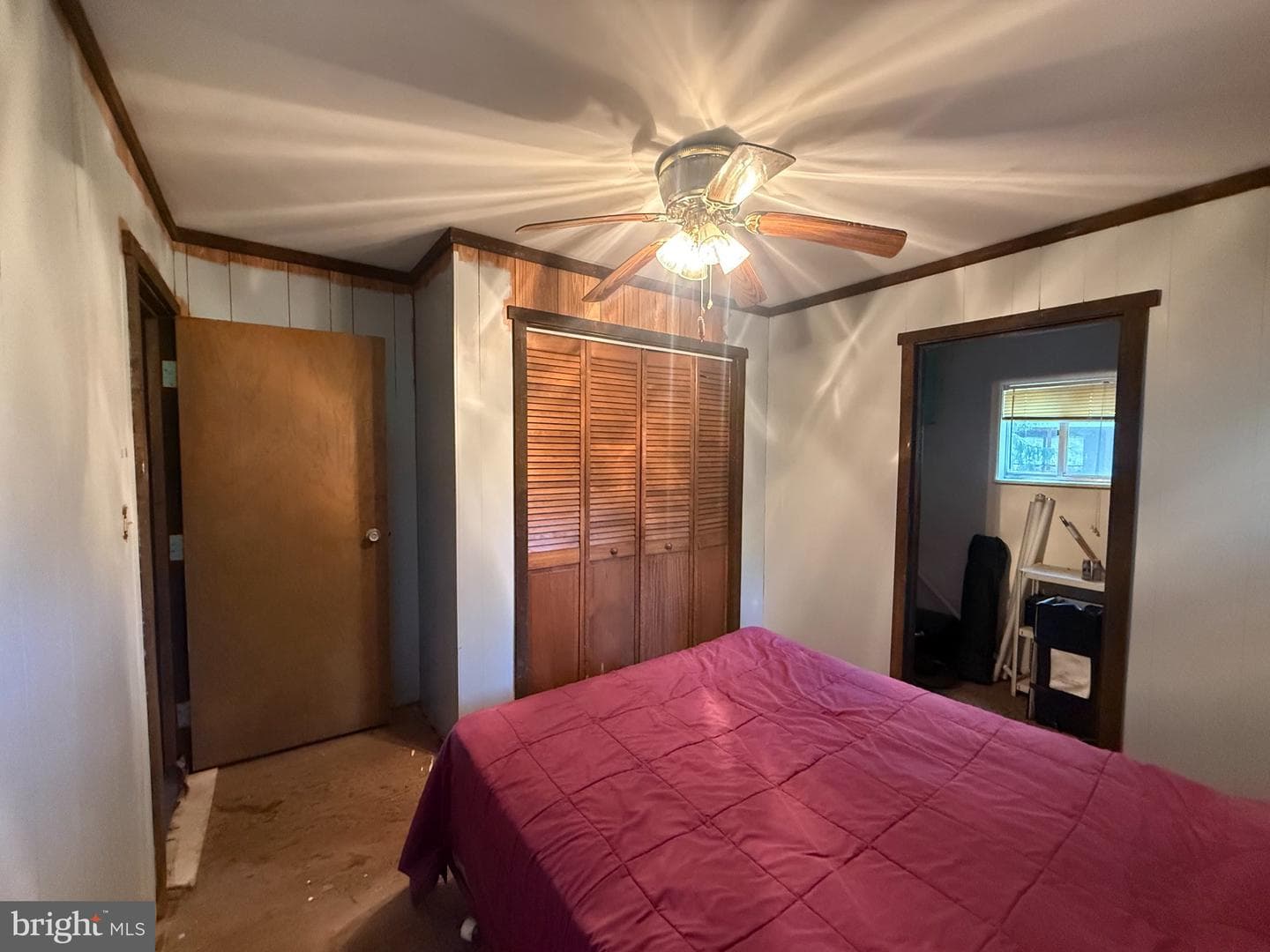 49 Beech Island photo 16